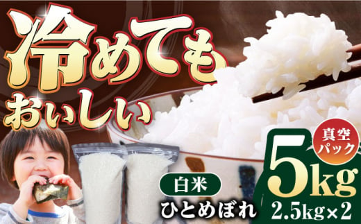 岐阜市産 ひとめぼれ 白米 5kg【2.5kg×2P】 お米 コメ 5キロ 岐阜市/農事組合法人　下城田寺営農 [ANEP005]