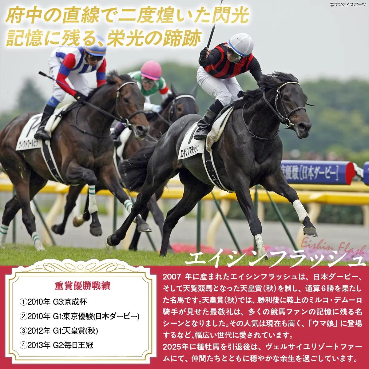 【エイシンフラッシュ】クリアファイル5枚入り BRTV033