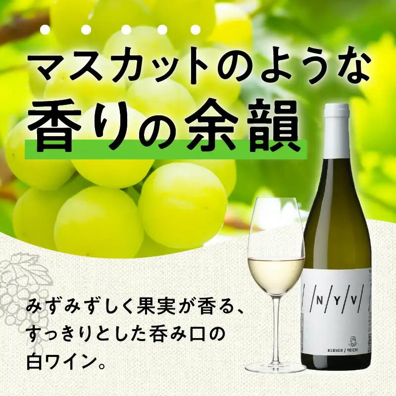 【ふるさと納税】 数量限定 ＆ 北海道限定 N・Y・V （エヌ・ワイ・ブイ） 余市ケルナー 白ワイン 辛口 ニッカ余市ヴィンヤード  贈り物  ギフト  プレゼント _Y090-0014