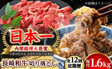 【全12回定期便】長崎和牛 切り落とし 総計19.2kg （約1.6kg/回）【ながさき西海農業協同組合】 [DBV048][DBV048]
