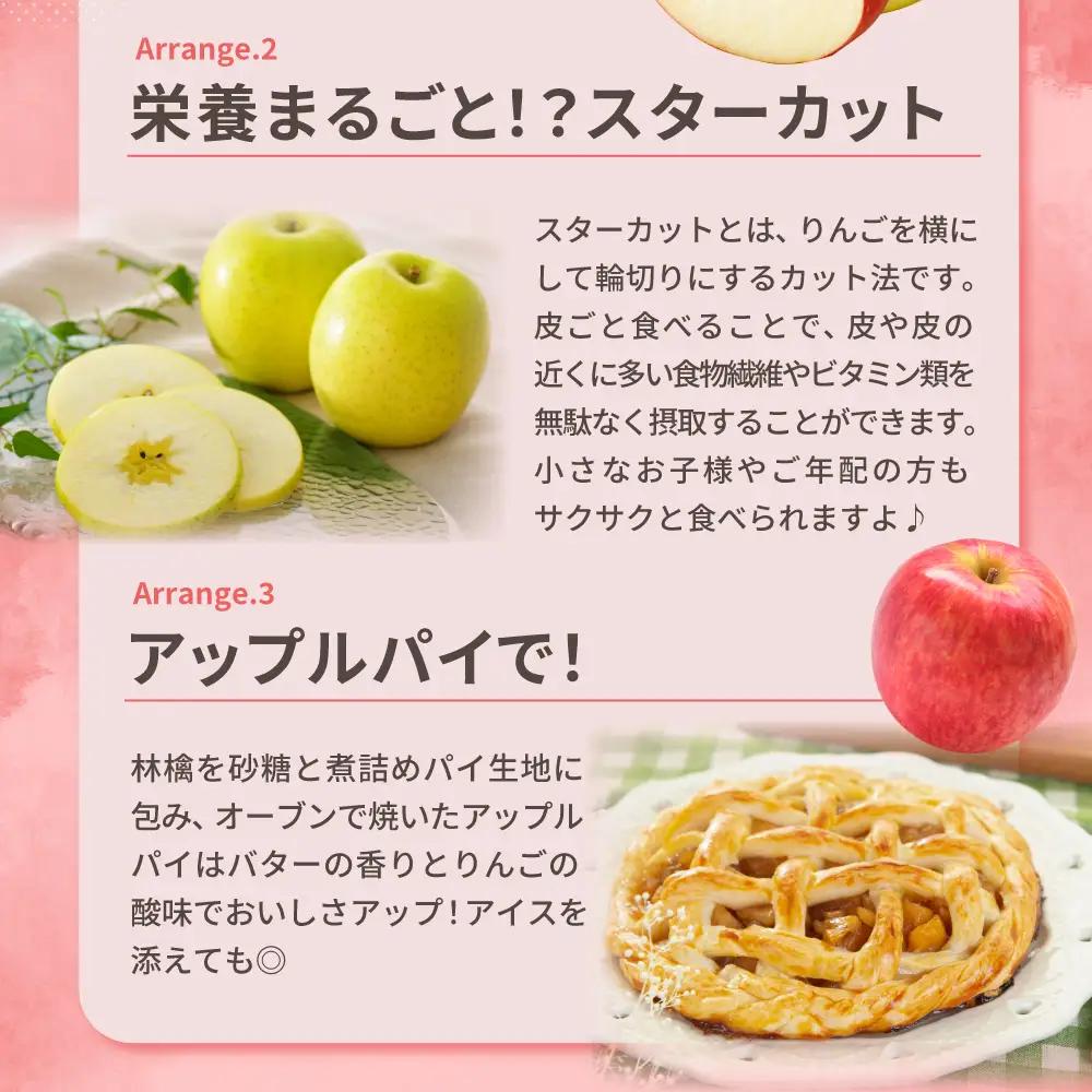 【2026年11月後半発送】 【訳あり】 りんご 約10kg サンふじ確約 青森産 品種おまかせ2種以上
