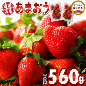 【2027年1月より順次発送】福岡県産 あまおう 約560g（約280g×2パック）_ いちご 果物 フルーツ 〔Fi049〕