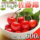 【ふるさと納税】 【令和6年産先行予約】 さくらんぼ 「佐藤錦」 600g (200g×3パック) 《令和6年6月中旬～7月中旬発送》 『フードシステムズ』 山形県 南陽市 [1695]