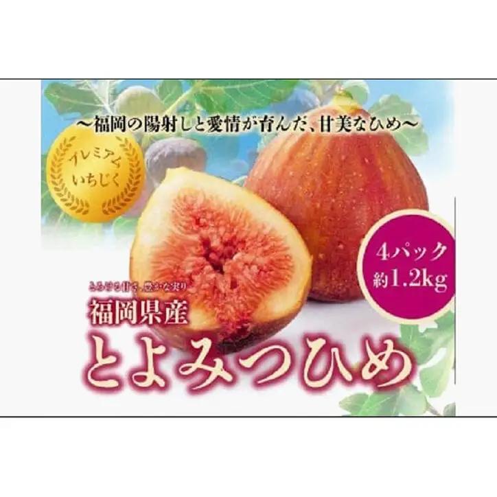 ＜2026年8月以降発送＞とよみつひめ ４パック約1200gセット とよみつひめ