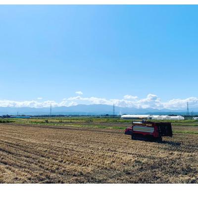 ふるさと納税 南陽市 【令和7年産】【金賞受賞】山形県南陽産ミルキークイーン5kg　精米【S1774】 |  | 01