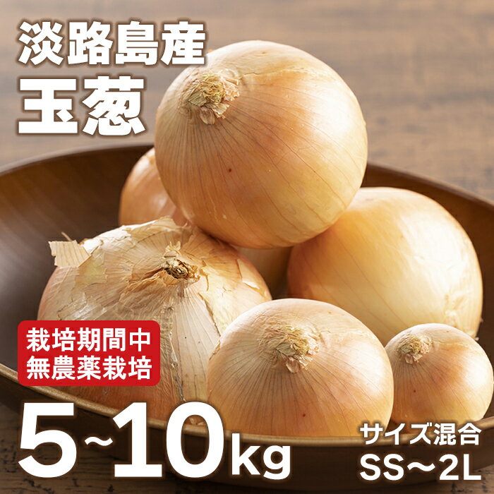 【ふるさと納税】淡路島玉葱 5kg・10kg【栽培期間中、無農薬栽培】サイズ混合SS～2L
