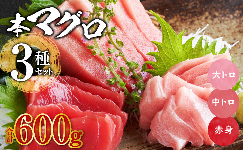 
                  国産本マグロ 食べ比べセット_国産本マグロ 食べ比べ セット 海鮮 海産物 本マグロ 大トロ 中トロ 赤身 真空パック マイナス60℃ 液体冷凍 魚 鮮魚 刺身 柵 海鮮丼 魚介類 マグロ丼 漬け丼 寿司 ヨシマサ 久留米惣吉 福岡県 久留米市 お取り寄せ お取り寄せグルメ 送料無料_Cs336
                
