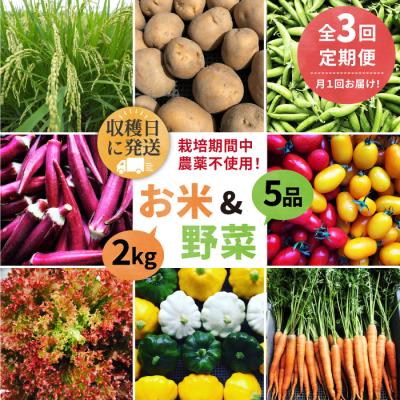 ふるさと納税 糸島市 【全3回定期便】☆畑直送☆限定!栽培期間中農薬不使用!お米2kg&amp;野菜5品セット[AGE036]