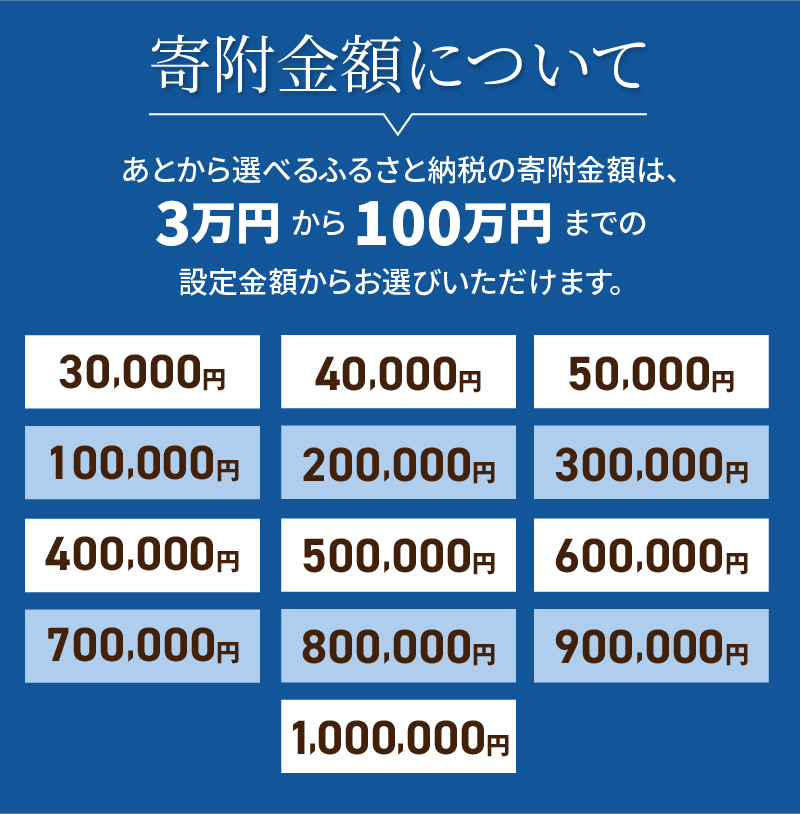 あとからセレクト【ふるさとギフト】１００万円