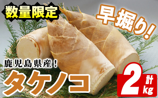 ＜2025年3月以降順次発送予定＞鹿児島県産！早掘りタケノコ(2kg) 国産 野菜 筍 たけのこ 竹 春 野菜 旬【鹿児島いずみ農業協同組合】a-18-11-z