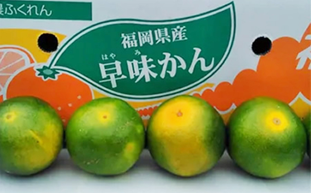 福岡県産 極早生みかん 早味かん 約4kg
