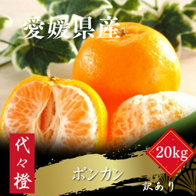 【ふるさと納税】【濃厚な甘さ】【訳あり】ポンカン 20kg【H83-25】【1557489】