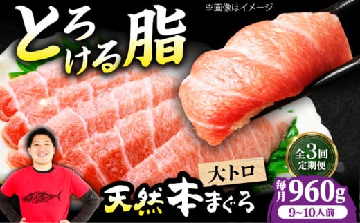 【全3回定期便】極上！たね熟天然本まぐろ大トロ(960g) 天然 マグロ 鮪 大トロ 刺身 魚 魚介 魚介類 海鮮丼 本マグロ 本まぐろ 本鮪 赤身 大トロ 冷凍 お刺身 お寿司 大阪府高槻市/本まぐろ直売所 [AOCE028] 本マグロ 刺身 寿司 海鮮 旨み 切り身 鮮度抜群 海鮮丼 お取り寄せ 高級魚 ギフト 贈答用 海の幸 家飲み ごちそう おつまみ 炙り丼 手巻き寿司 お祝い パーティー