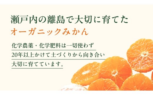 タイベックシートを使用したマルチ栽培を導入し、自然の力を最大限に活かしたみかんづくり