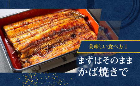 鹿児島県産！老舗うなぎ屋 の うなぎのかば焼き 2尾（ 並 ・ 100g以上 × 2パック ）【 ご自宅用 】 A040-009-06 うなぎ 鰻 ウナギ 蒲焼き かば焼き 惣菜 総菜 魚 魚類 うな