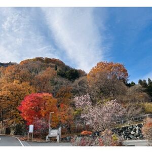 冬桜の宿 神泉　1万円宿泊補助券【1616523】