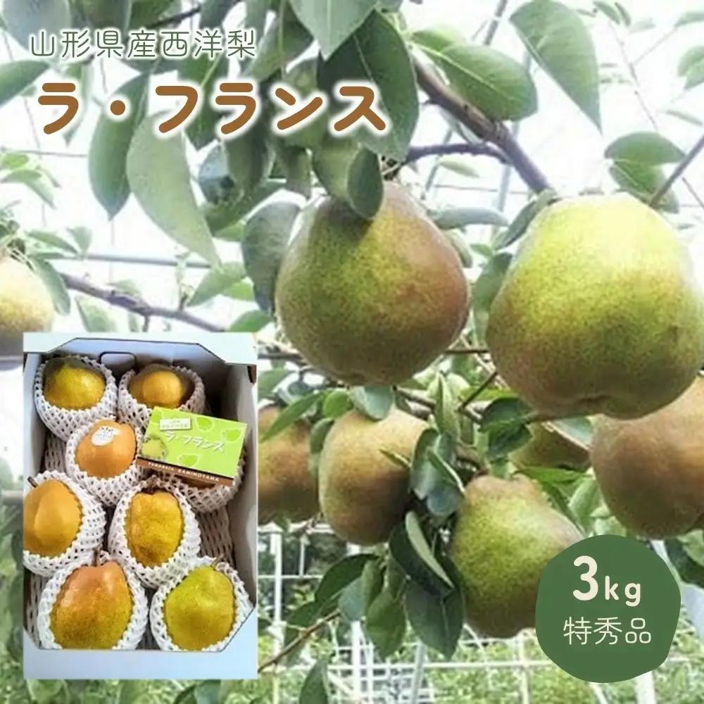 西洋梨（ラ・フランス）３ｋｇ　特秀品　0044-2605