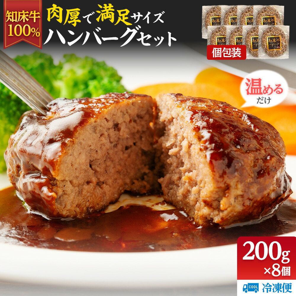 【ふるさと納税】知床牛100%ハンバーグステーキセット 8個入り 北海道 道産牛 牛肉 冷凍 簡単調理 ボイル 湯煎 レトルト お弁当 おかず 温めるだけ 生産者 支援 応援 F21M-944