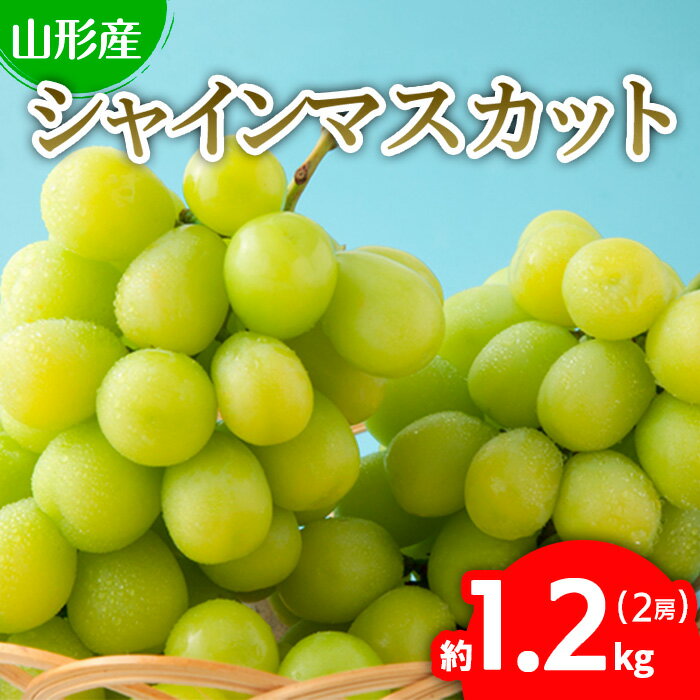 【ふるさと納税】ぷりぷりのシャインマスカット 2房 約1.2kg(1房500g〜700g) 【令和7年産先行予約】FU22-743 くだもの 果物 フルーツ 山形 山形県 山形市 2025年産