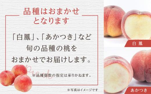 【数量限定/先行予約】飛騨桃 中玉 約2.7kg（12～13個）| 7月下旬～順次発送 桃 もも フルーツ 果物 旬 朝採れ 産地直送 白桃 品種お任せ 飛騨高山 山本果樹園 MA003