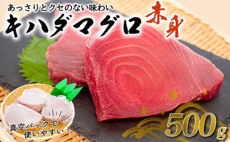 訳あり キハダマグロ 赤身 500g マグロマグロマグロマグロ 高知県 須崎市
