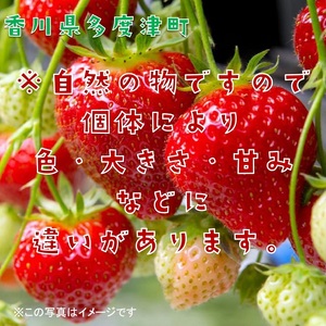 香川県オリジナル品種 さぬきひめいちご 約400g化粧箱入り(12~18粒)【L-39】