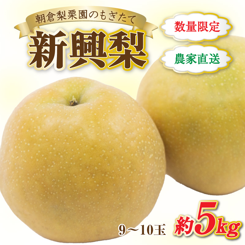 【先行予約】《数量限定》新興梨 9～10玉入 約5kg 歯ごたえ抜群！/ もぎたて 新鮮 期間限定 果物 フルーツ 農家直送 お取り寄せ 福井県 あわら市 新興 梨 なし※2024年10月中旬より順次発送 [aw042-a002]