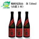 【ふるさと納税】焼酎尾鈴山 山猿 720ml×3本 - 本格麦焼酎 お酒 おしゃれ アルコール度数25度 麦麹 甘く香ばしい麦の香り カカオのような香り 尾鈴山蒸留所 送料無料 【宮崎県木城町】