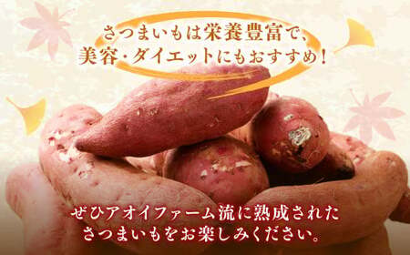“熟成” 茨城県産 さつまいも 【 紅はるか 】 約5kg （茨城県共通返礼品・行方市産） 芋 いも サツマイモ 野菜 やさい 国産