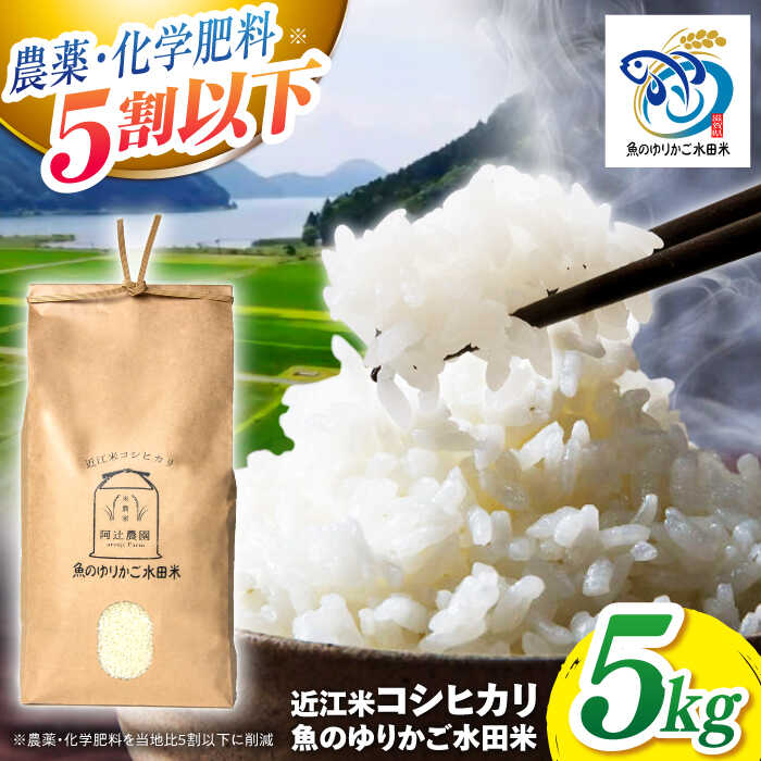 【ふるさと納税】【9月下旬〜順次発送】R7年度産 新米 近江米 コシヒカリ 5kg 魚のゆりかご水田米　長浜市/阿辻農園[AQAW003] コシヒカリ こしひかり 近江米 滋賀 魚のゆりかご 水田 米 お米 白米 5kg