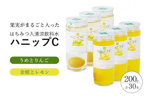 果実入り清涼飲料水　ハニップＣ 2種類セット（30本）【prm001B】