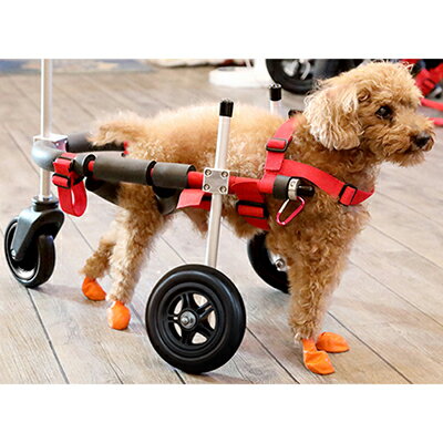 【ふるさと納税】小型犬用三輪車椅子（背丈23～35cm　体重8キロ以下） 【!寄附前に事業者へ相談必要!】　雑貨 日用品