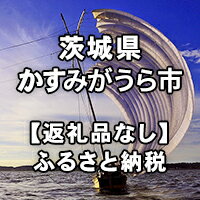 【ふるさと納税】茨城県かすみがうら市への寄付（返礼品はありません）