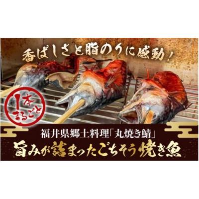 ふるさと納税 越前町 【福井県 名物】丸焼き鯖 二本 職人の焼きで香ばしくジューシー |  | 01