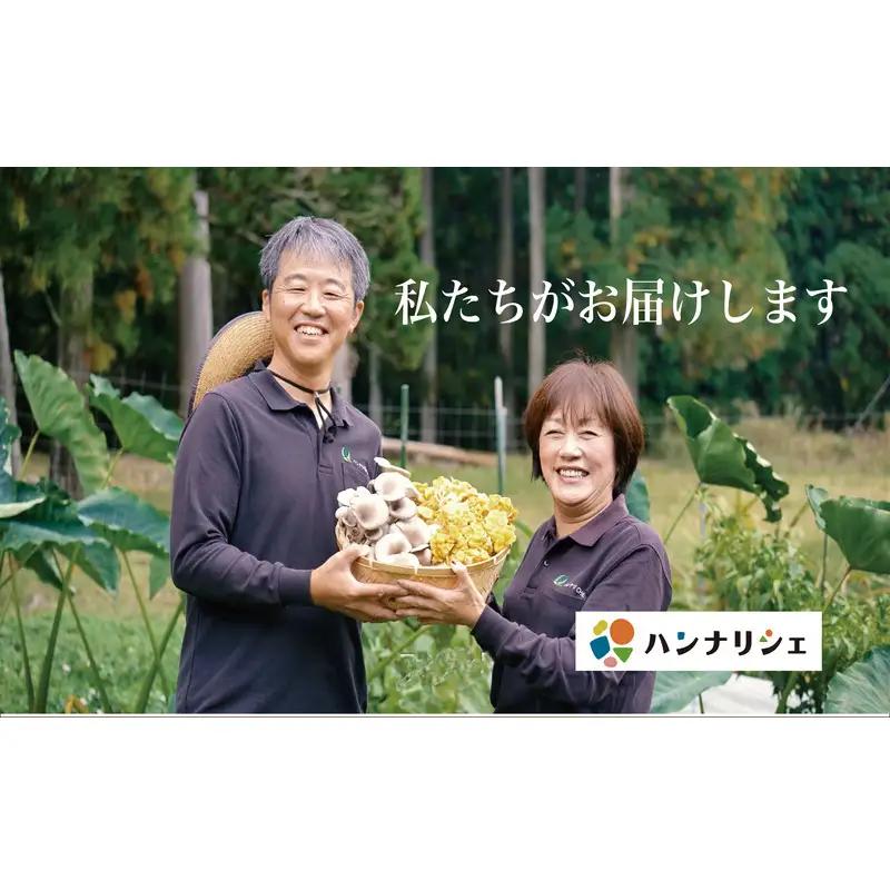 京都府産オーガニック　ヒラタケ（6パック入り約840g）