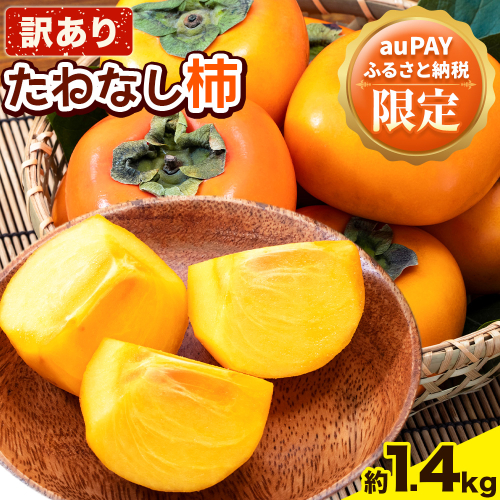 【auPAYふるさと納税限定】【ご家庭用/訳あり】たねなし柿1.4kg《2025年9月中旬-11月上旬頃より出荷予定》 和歌山県 紀の川市 柿 カキ かき ジューシー フルーツ