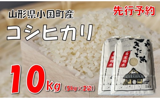 【令和８年産米 先行予約】コシヒカリ10kg（5kg×2袋）　大谷農園