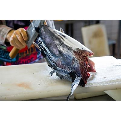 ふるさと納税 南国市 訳あり!わら焼きたたき1kg |  | 03