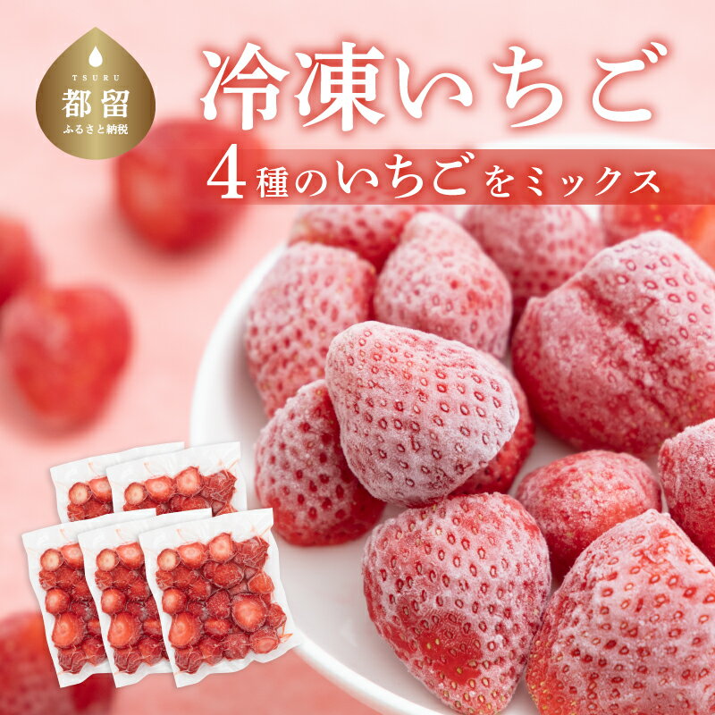【ふるさと納税】 冷凍いちご 夏いちご 5袋詰合せセット 5パック 冷凍イチゴ 冷凍ストロベリー 冷凍くだもの 冷凍果実 スムージー 夏イチゴ