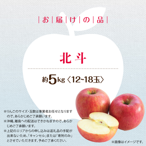 【先行予約】＜2026年11月中旬よりお届け＞北海道壮瞥町　りんご　品種名「北斗」12～18玉約5kg SBTF023