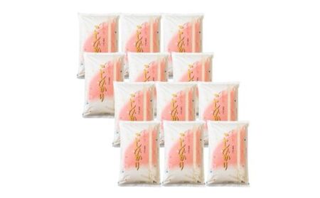 No.2498大文字屋米穀店【定期便12回】コシヒカリ 5kg 精米（毎月お届け）