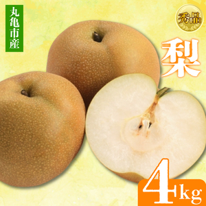 【2025年8月上旬より順次発送】【秀品】梨 約4kg 梨梨梨梨ﾅｼﾅｼﾅｼﾅｼ