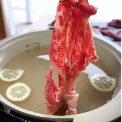 鹿追牛しゃぶしゃぶ用(鹿追牛Eセット) 225g×2 【011A】【配送不可地域：離島】【1455841】