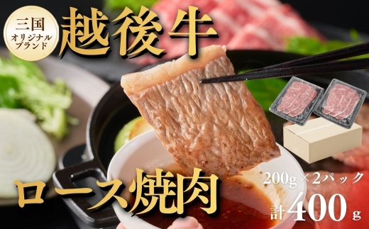 【越後牛 ロース焼肉 400g】200g×2パック 新潟県産ブランド牛 冷凍 三国 | 焼肉用 赤身 越後牛 牛肉 和牛 国産牛 ブランド牛 新潟県産 ロース 焼肉 焼き肉 バーベキュー BBQ 冷凍 ギフト  ぎゅうにく ギュウニク ビーフ beef 新潟県 小千谷市 【0043-0003-01】