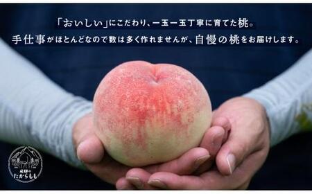 【2026年発送・先行受付】飛騨のたから桃 糖度15度以上 硬肉品種 （4-8玉）※8月末～順次お届け | 小箱 桃 最高級 お任せ ( 川中島 幸茜 初秋白桃 シーエックス) GH008