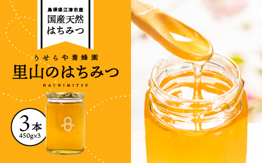 里山のはちみつ(3本セット)
