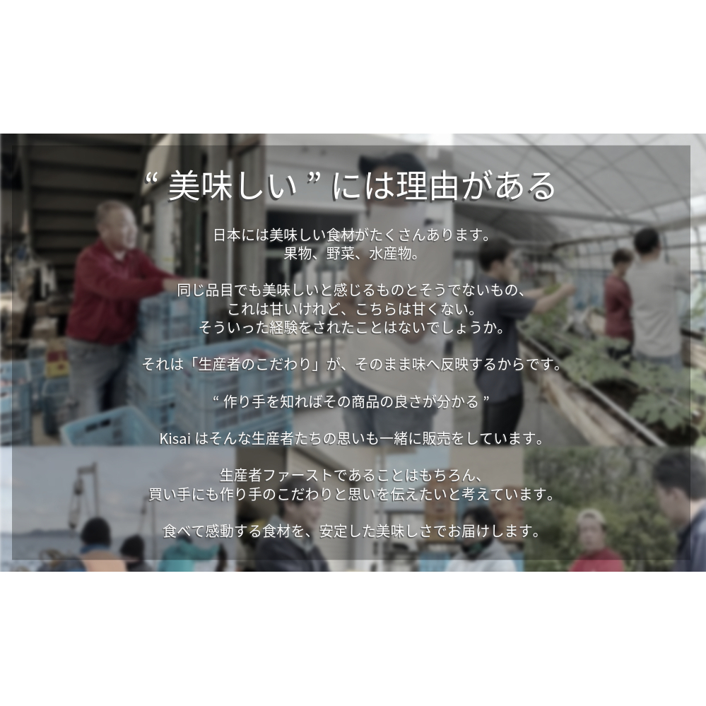 【 予約受付中・2024年10月中旬頃より順次発送 】鳴門産 さつまいも 『 里浦だいちゃん 』 3kg | なると金時 甘い ホクホク スイーツ 焼き芋 干し芋 天ぷら サラダ けんぴ きんつば_イ