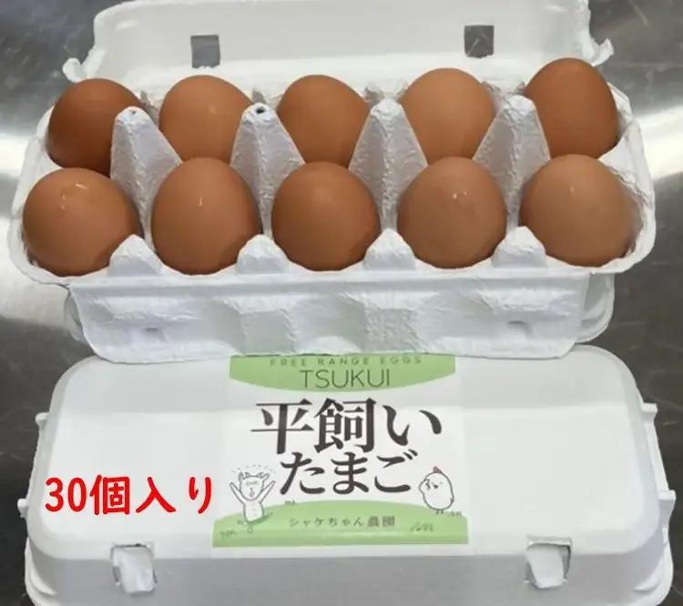 cometamaの平飼い卵 30個 ｜ ボリスブラウン 新鮮 平飼い ケージフリー 鶏卵 玉子 たまご 生卵 国産 たまごかけご飯 朝食 ※離島への配送不可