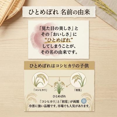 ふるさと納税 陸前高田市 ひとめぼれ 精米 10kg 及川産業 米 新米 お米 白米 ライス ご飯 お弁当 |  | 01