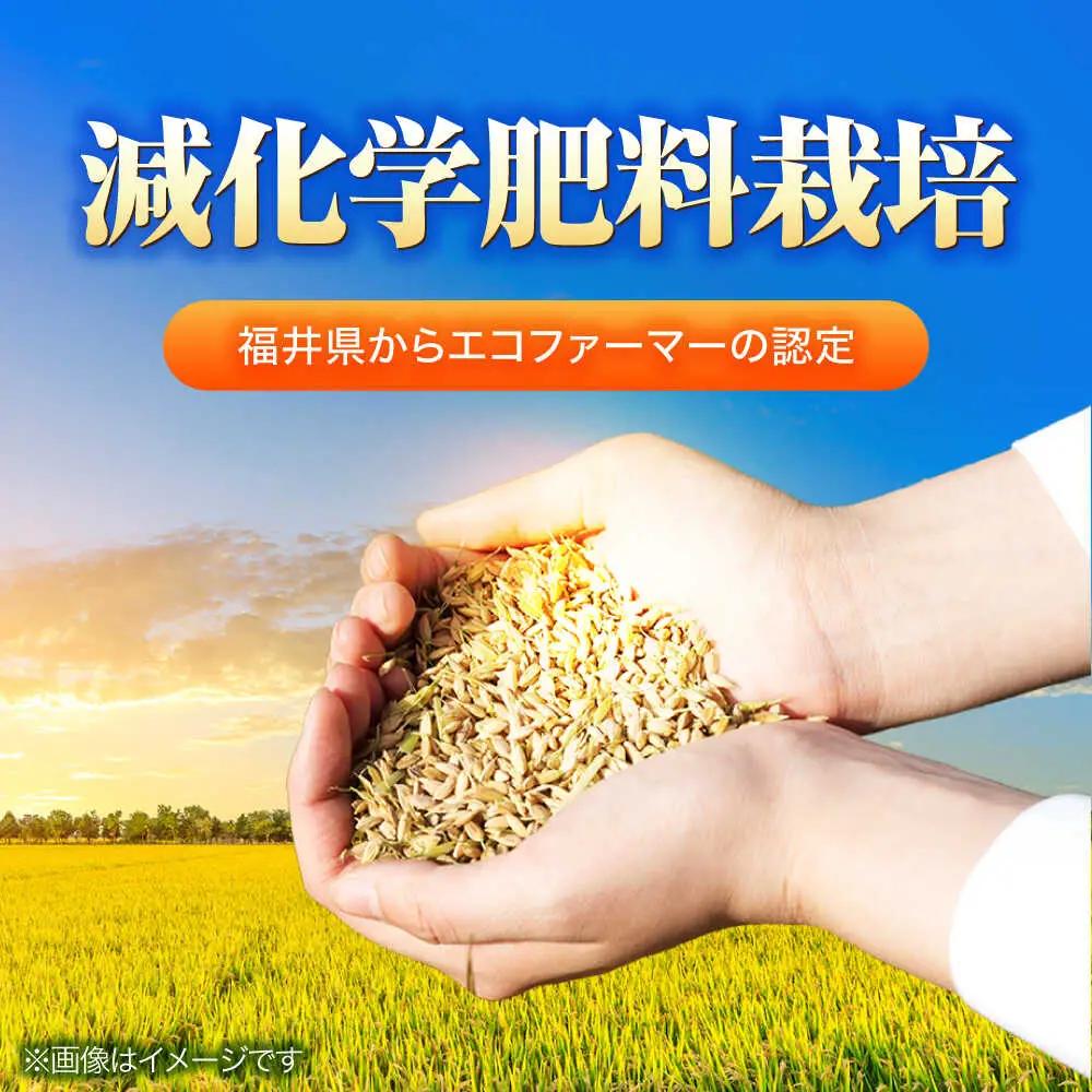 【令和8年産 新米】 【 先行予約 /9月中旬から発送】　福井県産 ラクト農法 コシヒカリ 玄米 10kg×2 （20kg）/ 米 お米 精米 国産米 /  小浜市 / 北川博司 [BFDG007]